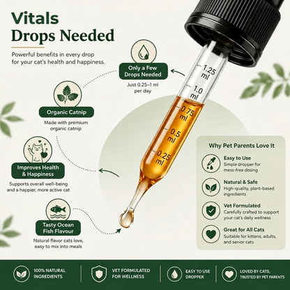 Vitals™ Advanced Catnip Oil
