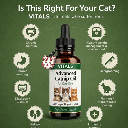Vitals™ Advanced Catnip Oil